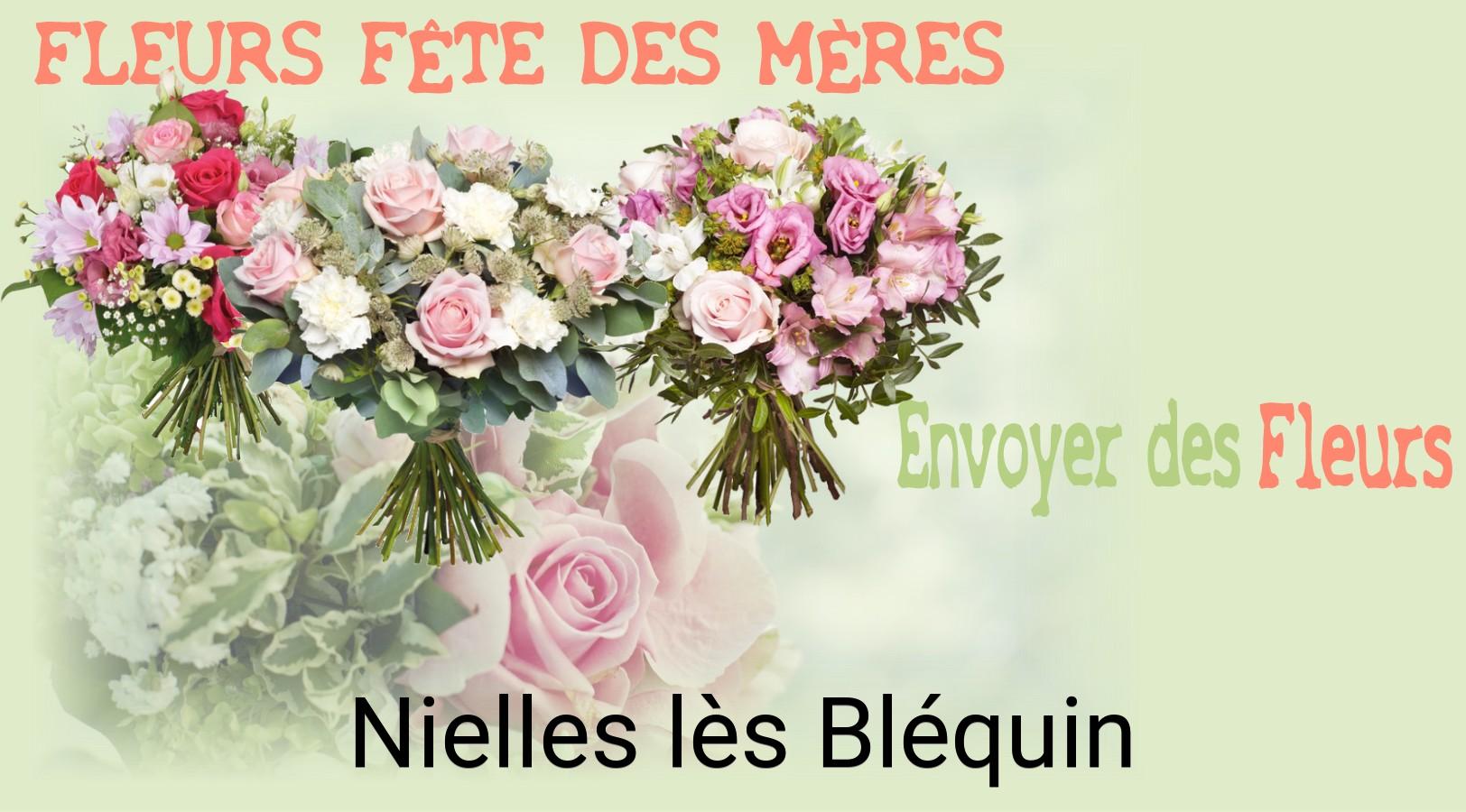 Bouquet de Fête des Mères livré à Nielles-lès-Bléquin